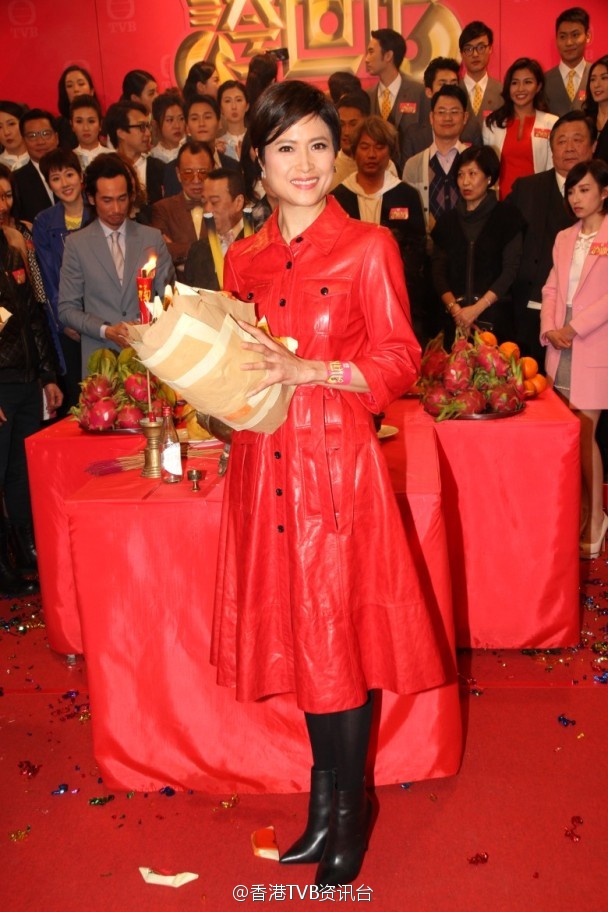 tvbinfo02.jpg