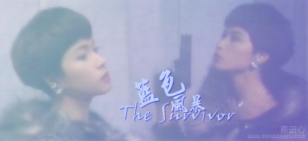 [ͼ]ĵĲBDN (126ո)