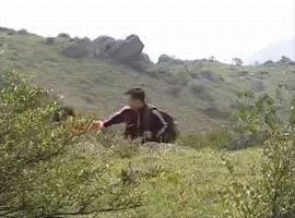 e9SyAj6a.gif